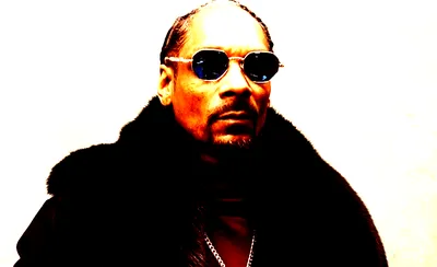 DJ Snoopadelic