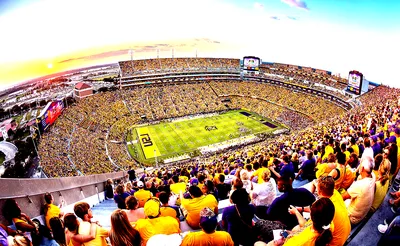 LSU Tigers