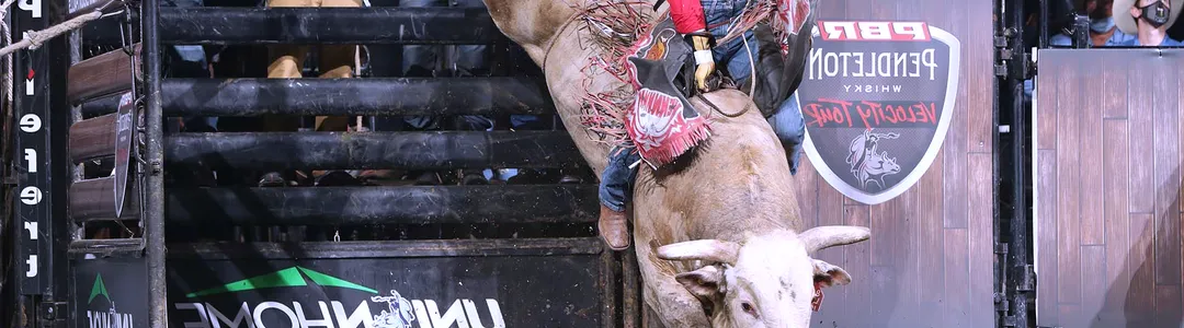 PBR Bull Riding