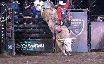 PBR Bull Riding